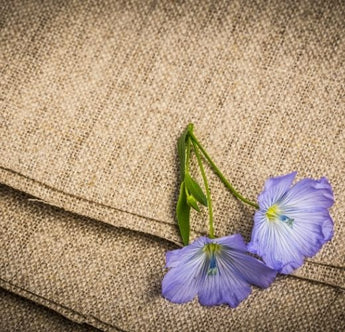 Video about flax and linen