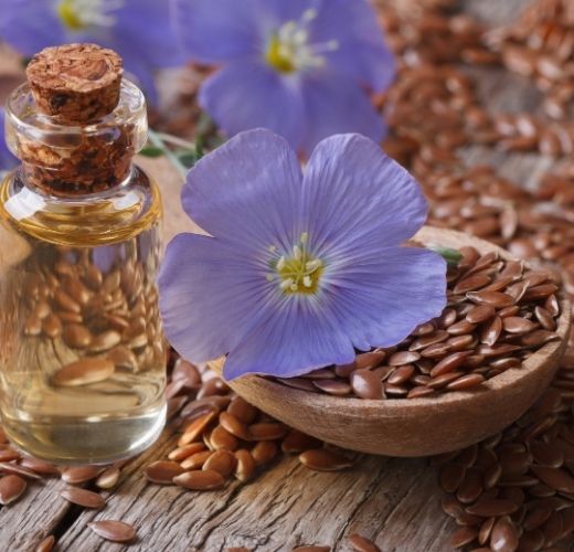 Efficacy and ingredients of flaxseed oil