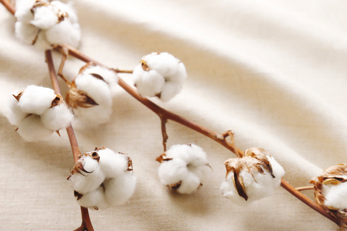 "Cotton linen" that combines cotton and linen